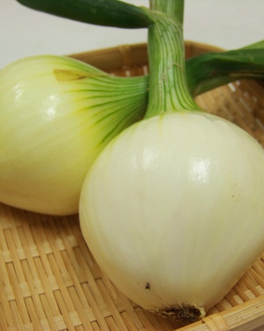 玉ねぎ 時期 新