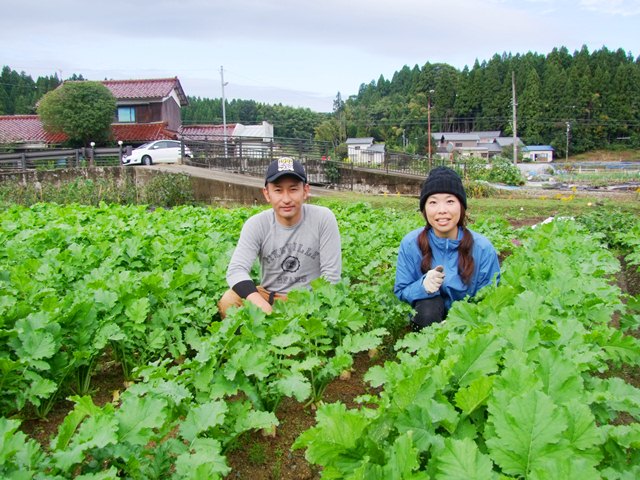 出荷者だより-1.jpg