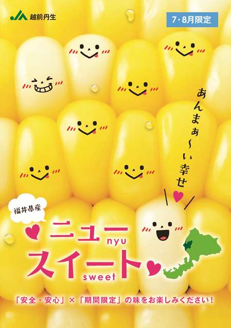 ニュースイートチラシ正式-1.jpg
