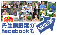 フェイスブックもチェック